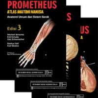 Image of Prometheus Atlas Anatomi Manusia Anatomi Umum dan Sistem Gerak